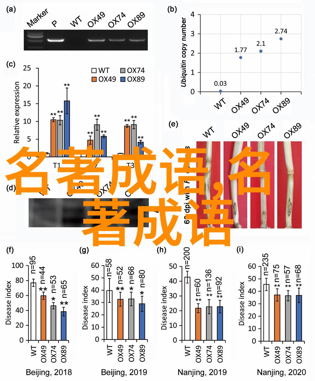 涓滴归公