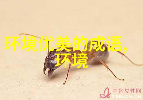 落花无言